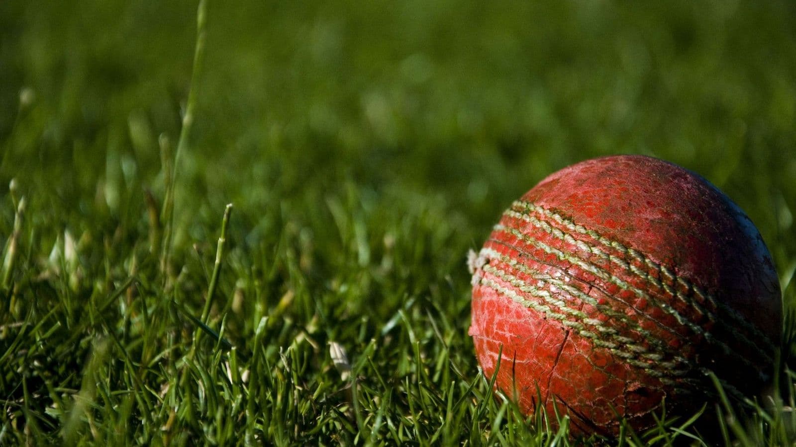 Close-up of a red cricket ball in the grass
