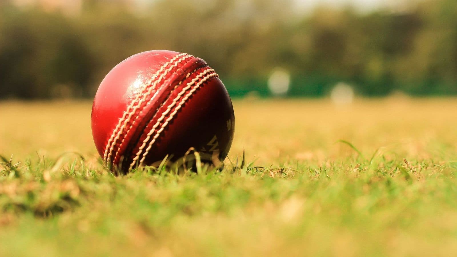 A red cricket ball on the grass