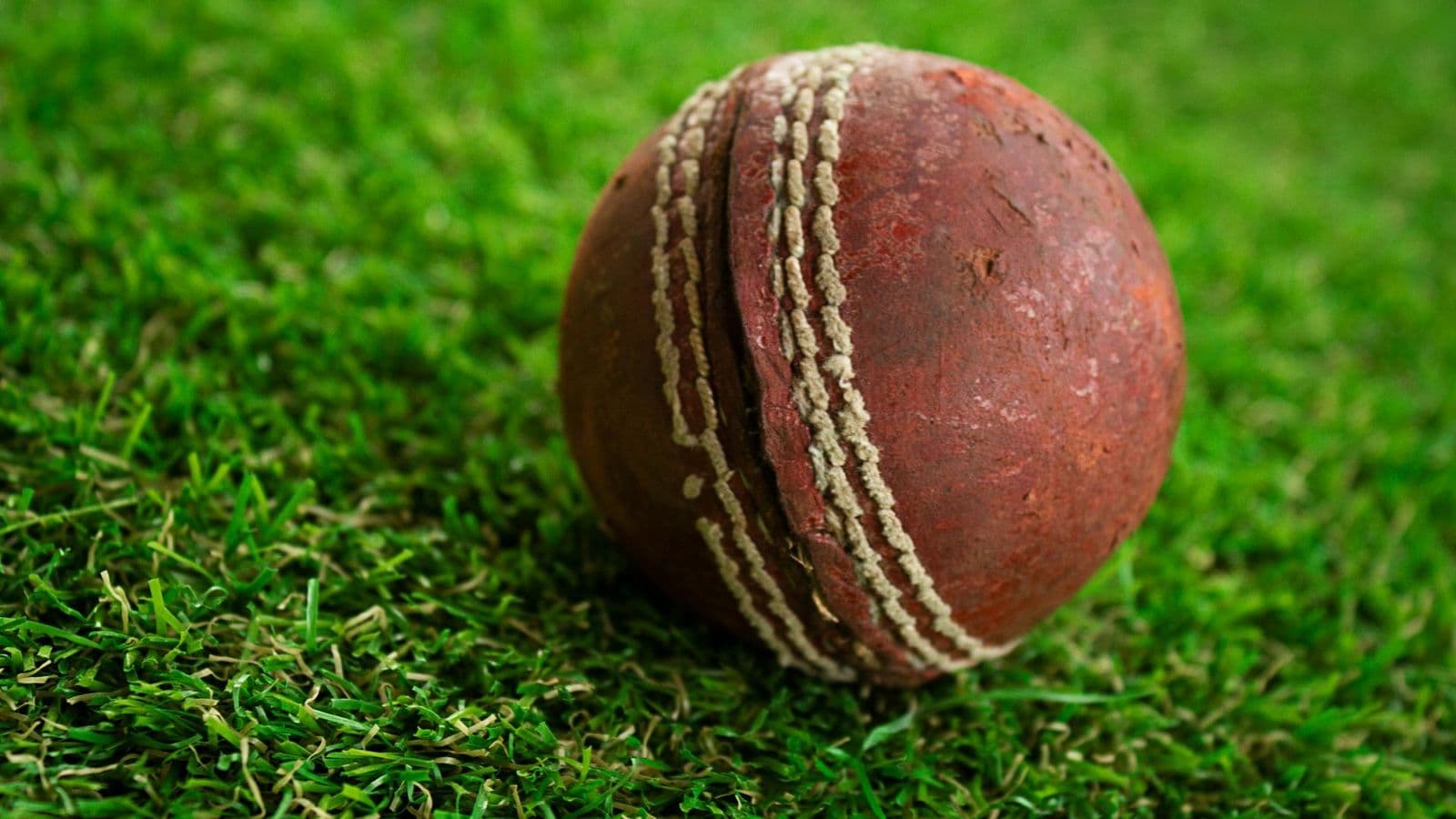 A worn cricket ball on a turf pitch